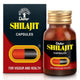 Dabur Shilajit Cap 30